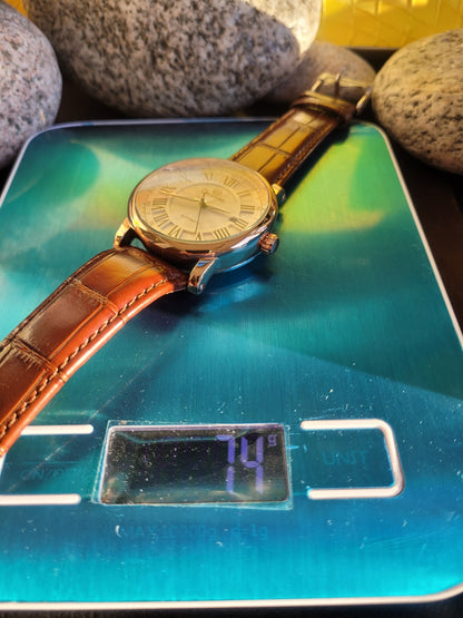 Mens Luxury Automatic Watch Rose Gold Date Window Back Brown Leather Strap 3ATM11